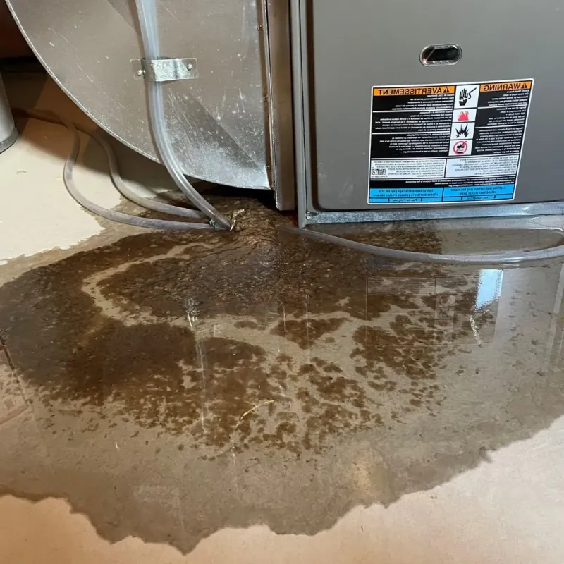 Pipe Burst and Leak Restoration in Mount Union, PA