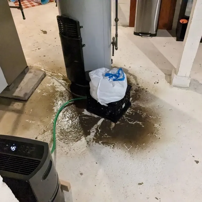Sewage Backup Cleanup Service in Mount Union, PA